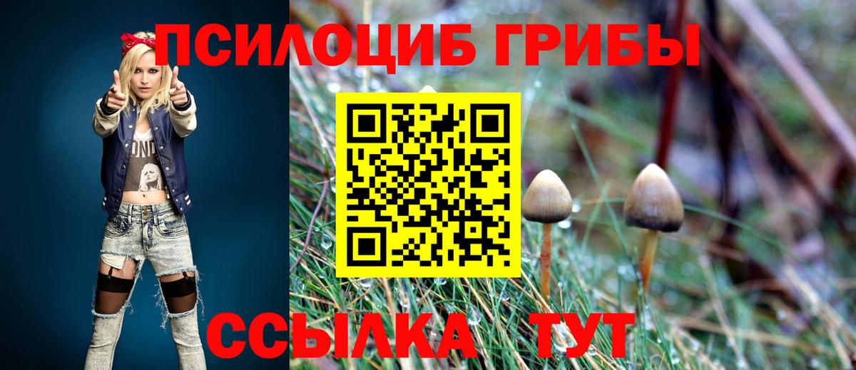 Галлюциногенные грибы Psilocybe Волгодонск