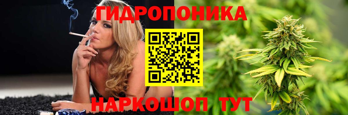 Волгодонск  Конопля MAZAR  Вход с VPN  Конопля планчик  Марихуана семена 